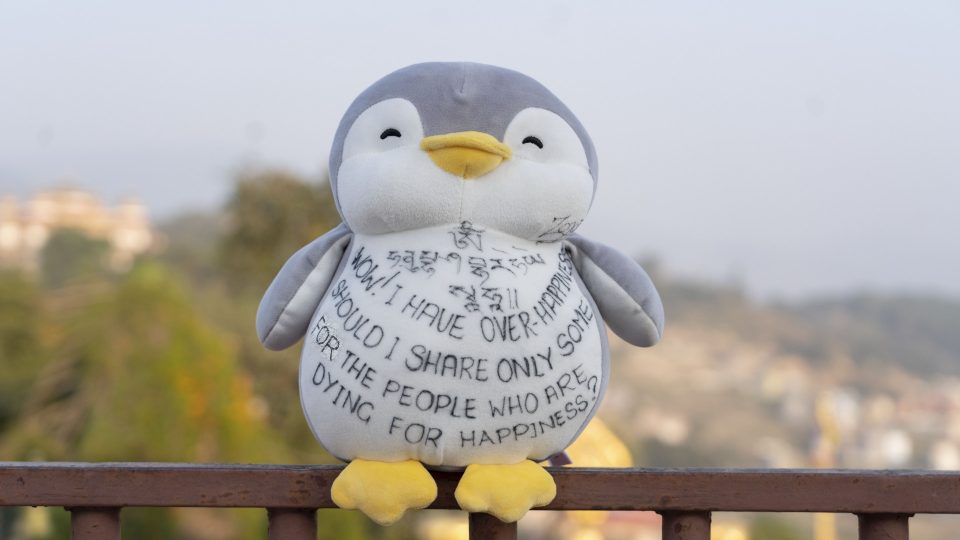 Stuffed penguin plush toy with Dharma message sitting on banister with Kathmandu in the background