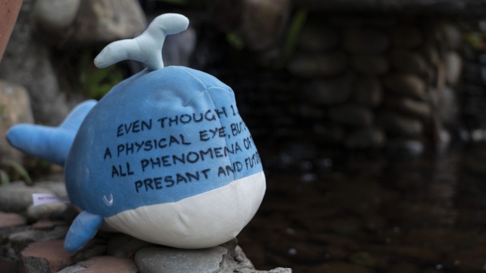 Stuffed whale plush toy with Dharma message next to pond