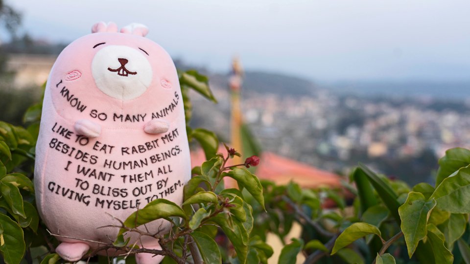 Stuffed pink plush toy with writing on it, sitting on a shrub with the valley in the background