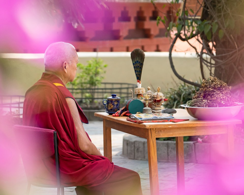 View through pink petals for Rinpoche doing incense puja