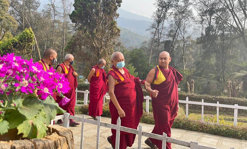 monks walking along a path with flowers in the foreground and trees and mountains in the background
