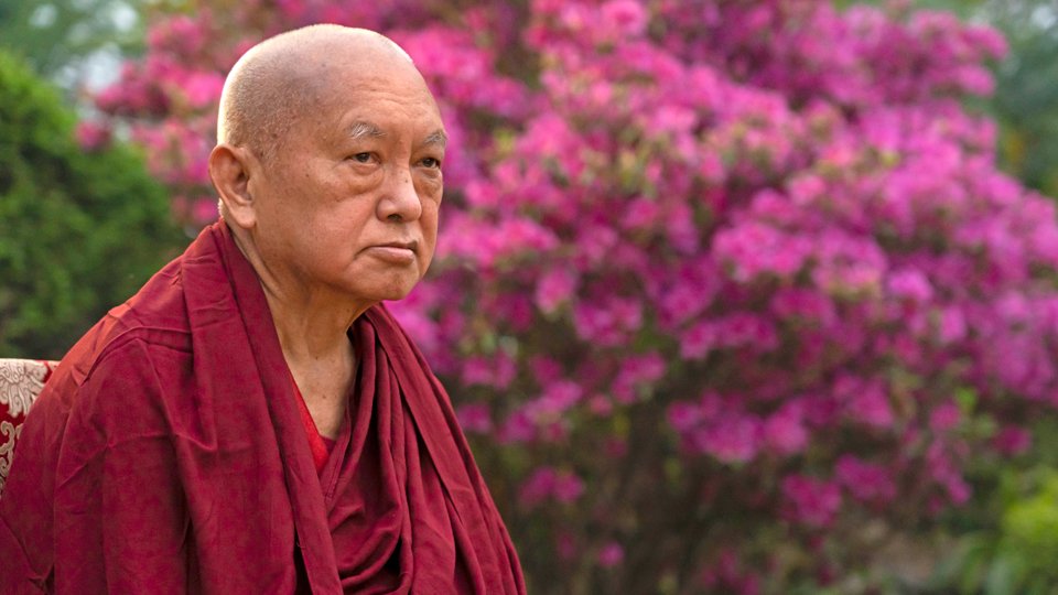 Lama Zopa Rinpoche sitting in front of a bright pink flowering shrub