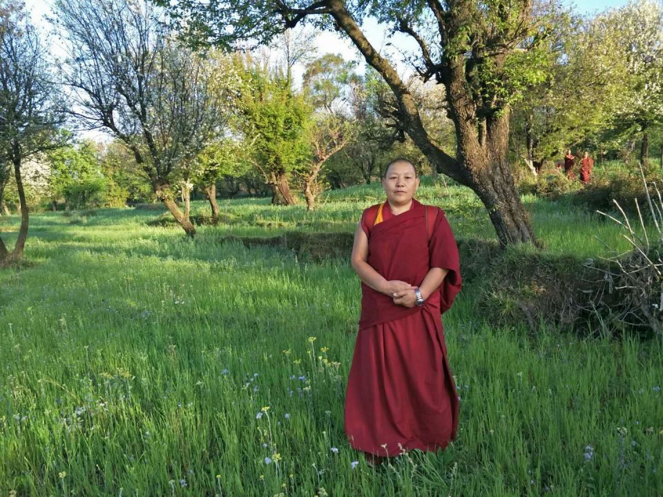 a Tibetan nuns standing in a green meadow with trees in the backgroun