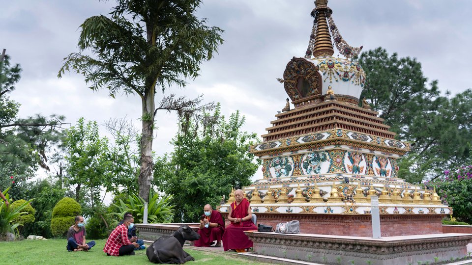 Sitting text to a stupa, Rinpoche blesses the buffalo who has laid down on the grass