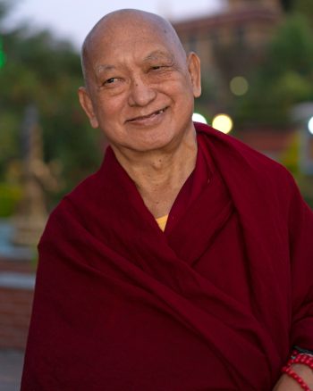 Rinpoche stands in a garden at dusk, smiling