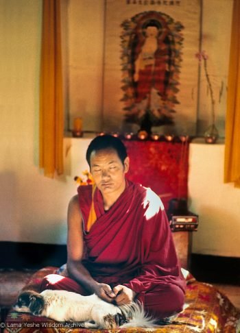 Link to image on Lama Yeshe Wisdom Archive Image Gallery