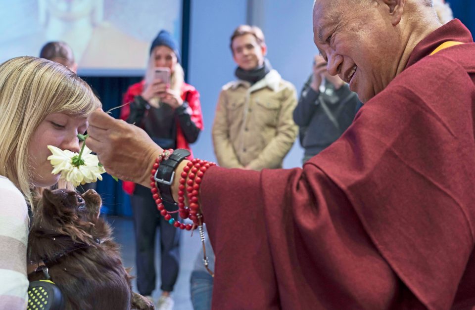 Lama Zopa Rinpoche touching the head of a small dog with a flower 