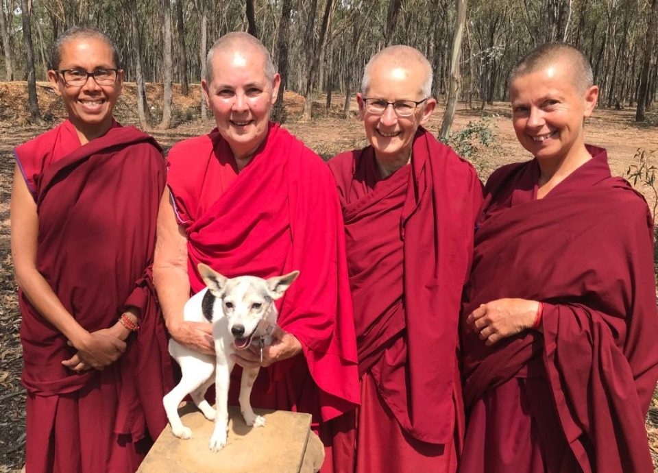 Rejoicing in Support Offered to Ordained Sangha in 2024