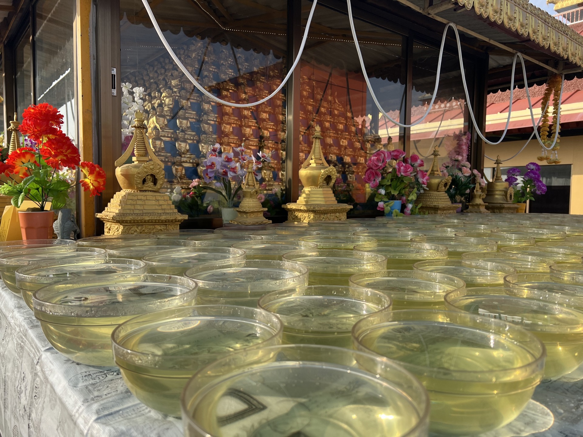 Kopan Monastery, Nepal, water bowl offerings. Saka Dawa, 2026, photo courtesy of Kopan Monastery.