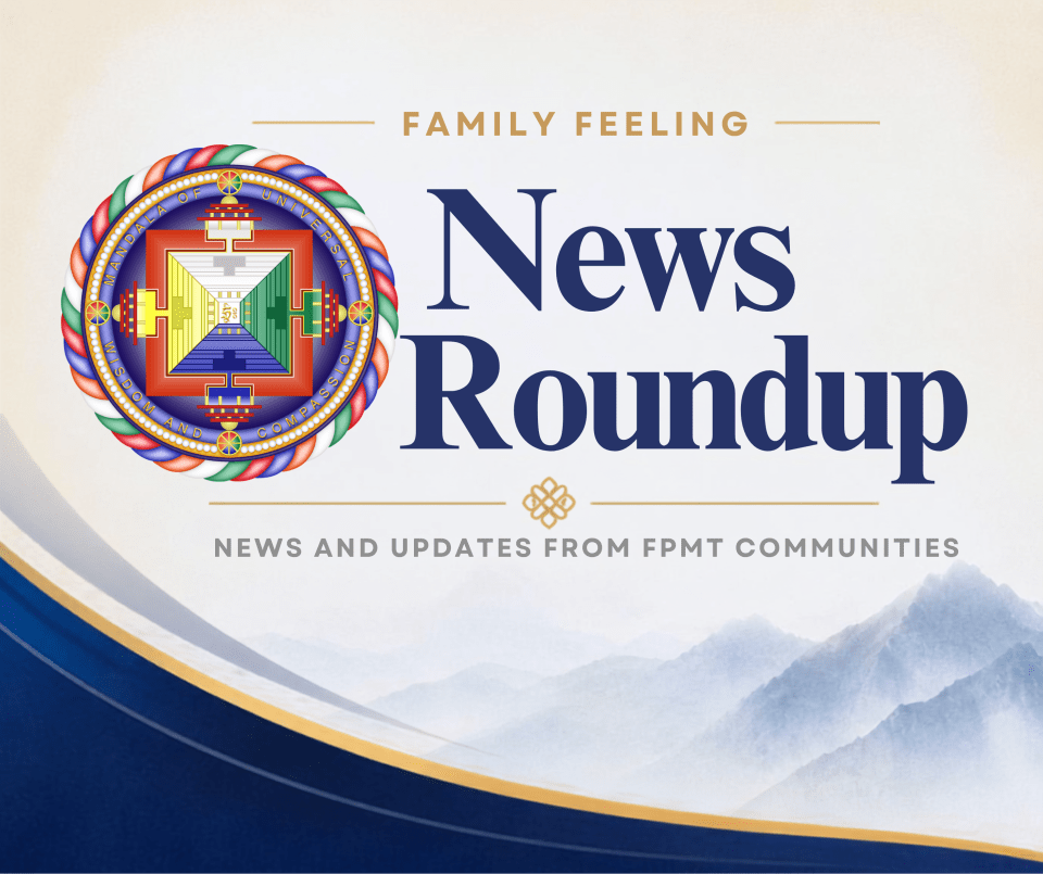 Family Feeling News Roundup: June 2026