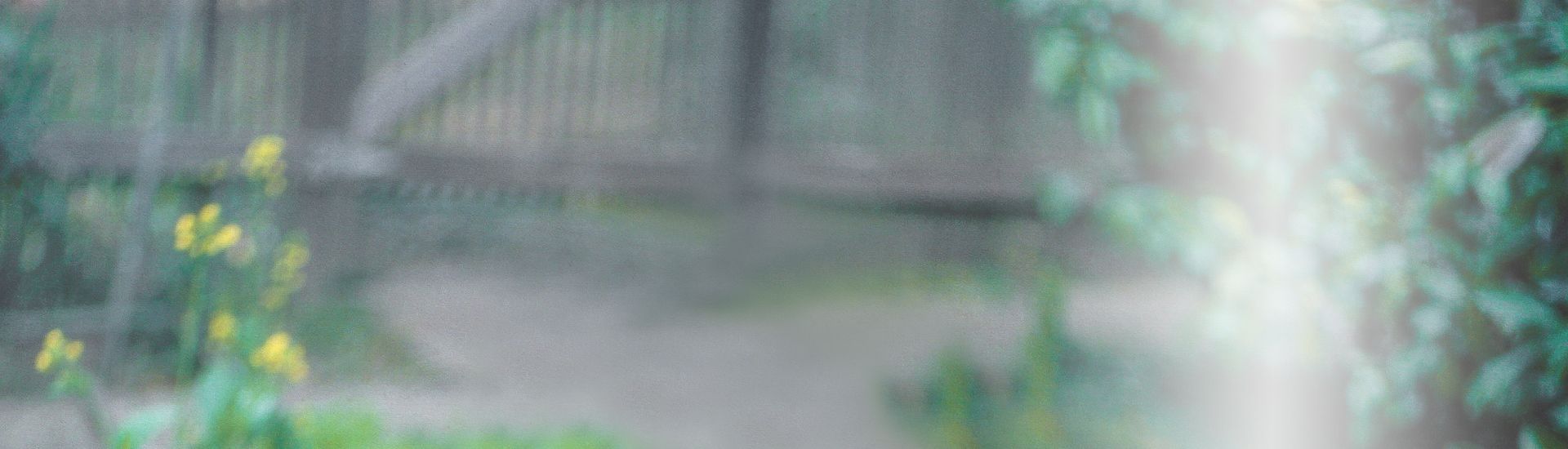 Mandala-July-Dec-2019-slide-new