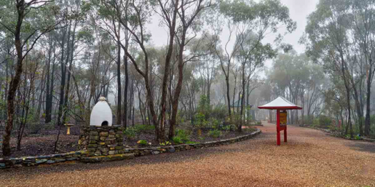The Australian bush of Atisha Center, June 2017. Photo courtesy of Atisha Centre.