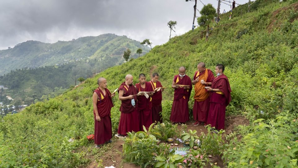 Seven red robed monks reciting from texts over chalk drawings and other ritual items on the ground, surrounded by green plants and foothills