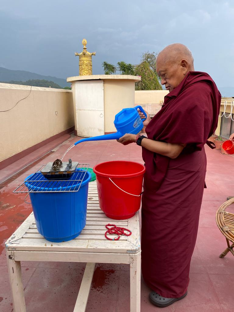 May FPMT e-News Out Now!