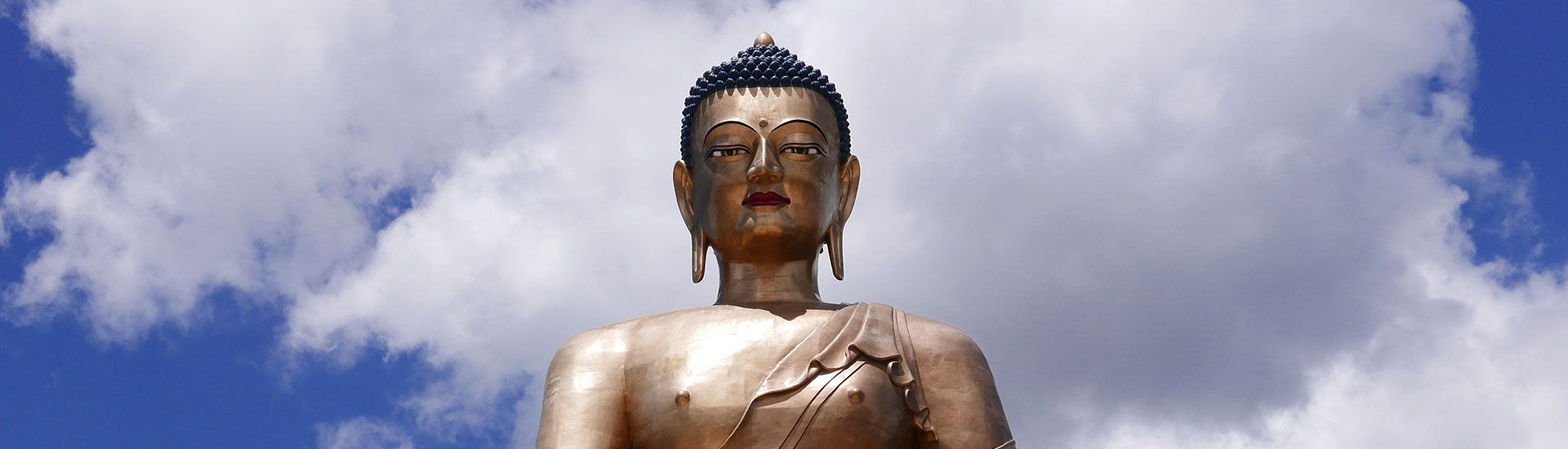 20160601_BT_P1270274_4112px