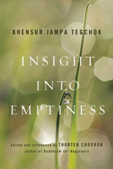 Review: Insight into Emptiness