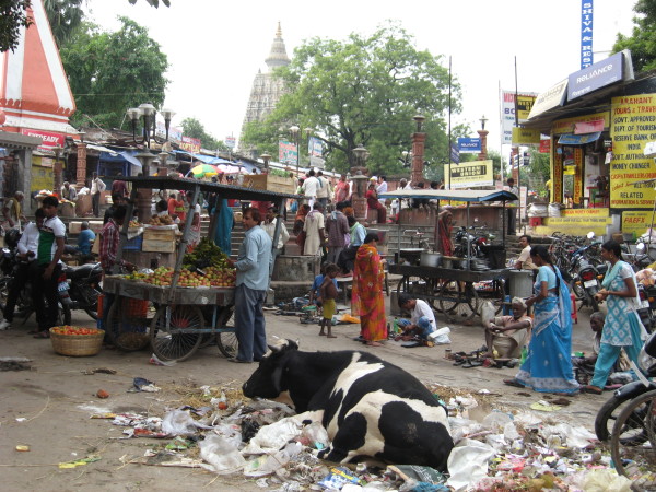 Market in Bodhgaya, India, October 2012. Photo by Jon Landaw.