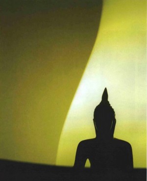 Thupten Jinpa on the Term “Meditation”