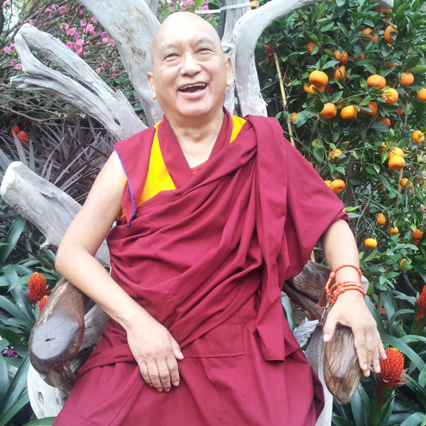 New Video: Lama Zopa Rinpoche at Amitabha Buddhist Centre