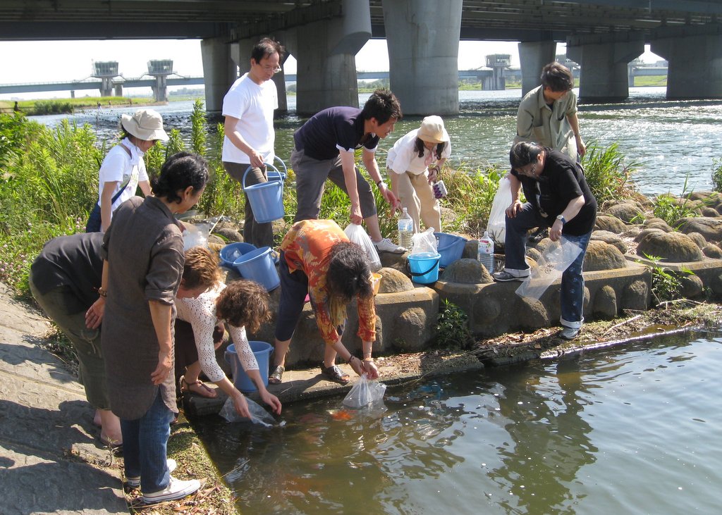 DNSJ student liberating fish, Tokyo, July 2013. Photo courtesy of Doc O'Connor.