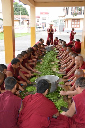 On a rotating basis, monks help work in the Sera kitchen to chop, cook and clean. Photo by Sera Je Food Fund.