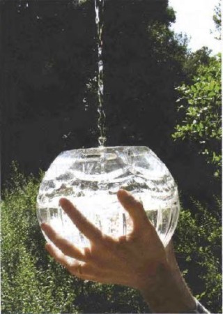 Water Bowl