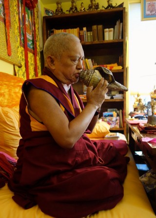 Rinpoche blowing the conch during the Lama Chopa puja on tsok day  (Rinpoche is doing the tsok according to Indian time), November 12, 2013. Photo by Ven. Roger Kunsang. 