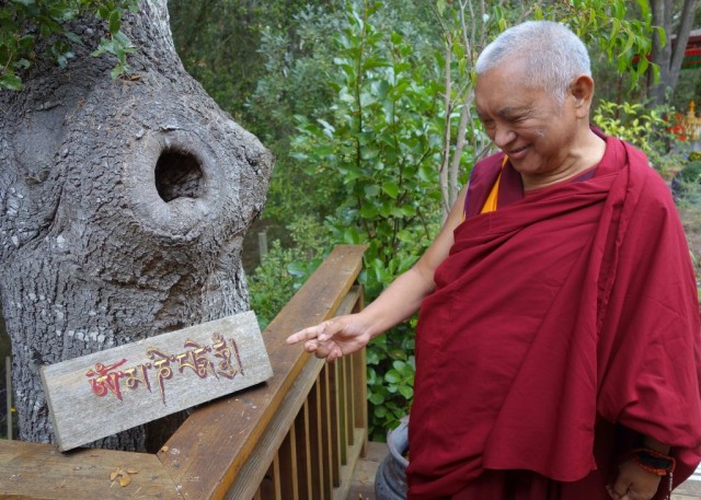 Lama Zopa Rinpoche at Kachoe Dechen Ling, Aptos, California, November 16, 2013. Photo by Ven. Roger Kunsang.
