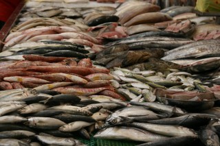 Fish from many regions at a wet market in Singapore