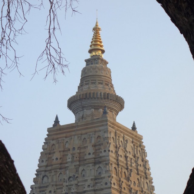The Mahabodhi Stupa with gold offering on the pinnacle, Bodhgaya, India, January 2014. Photo by Ven. Roger Kunsang.