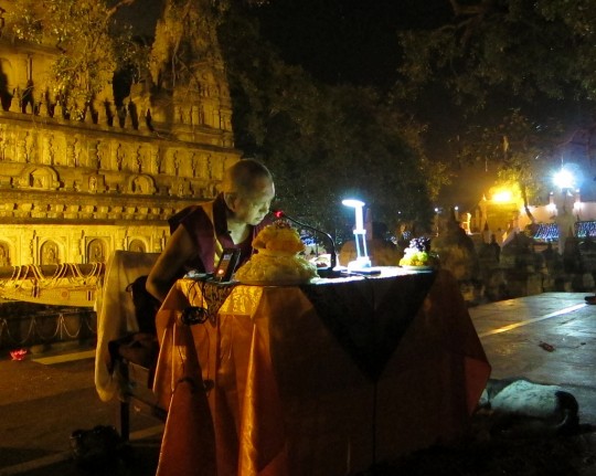 Lama Zopa Rinpoche giving oral transmission of Sutra of Golden Light at Mahabodhi Stupa, Bodhgaya, India, March 2014. Photo by Ven. Sarah Thresher.