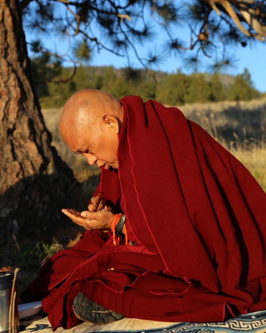 Lama Zopa Rinpoche at Buddha Amitabha Pure Land, Riverside, Washington, US, April 2014. Photo by Ven. Thubten Kunsang.