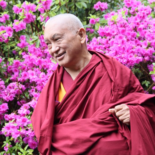 Lama Zopa Rinpoche in Portland, Oregon, US, April 2014. Photo by Ven. Thubten Kunsang.