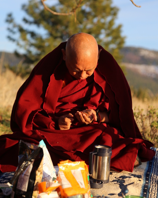 Lama Zopa Rinpoche making offerings to ants at Buddha Amitabha Pure Land in northcentral Washington, US, April 2014. Photo by Ven. Thubten Kunsang. 