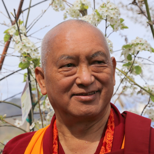 Lama Zopa Rinpoche in northcentral Washington, US, April 2014. Photo by Ven. Thubten Kunsang.
