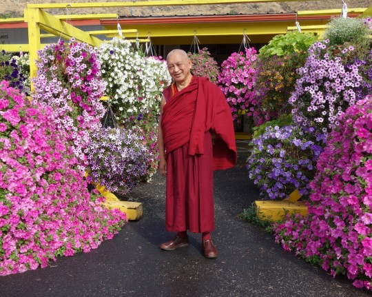 Lama Zopa Rinpoche, Washington, US, July 2014. Photo by Ven. Roger Kunsang.