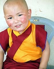 Tulku Tenzin Phuntsok Rinpoche. Photographer Ven Tenzin Zopa