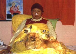 Lama in Delhi with his Chihuahua Lama and Pekinese Yeshe, late December.
